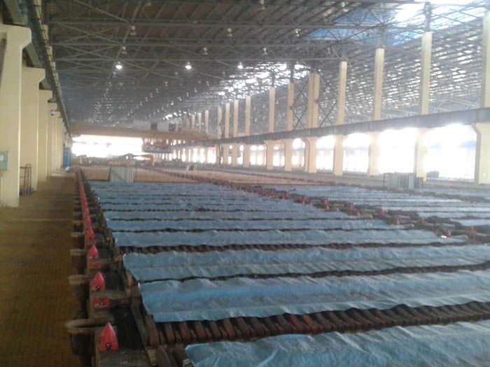 W020241121375656403820