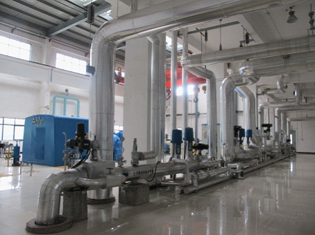 W020241121375658544871