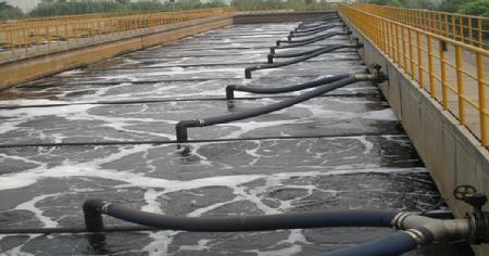 W020241121370503961679