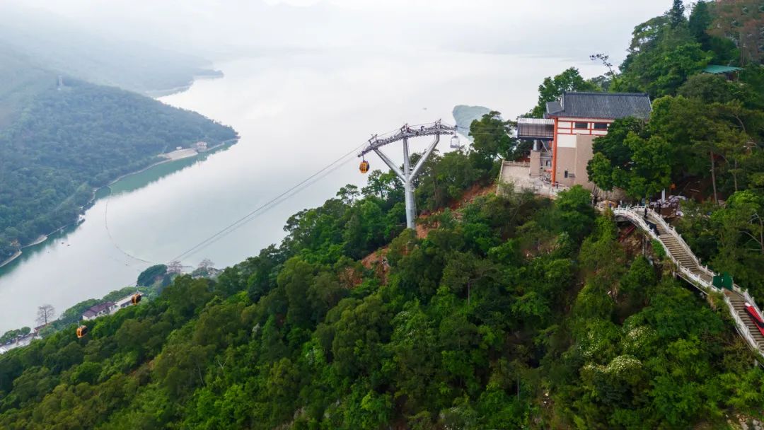 J9集团·(中国)首页官网