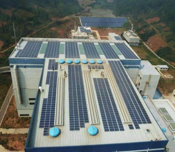 W020241119526079220939