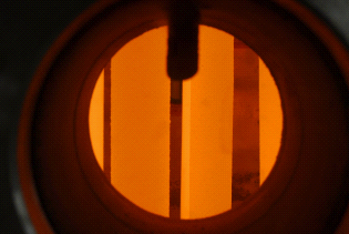 W020241119526081912854