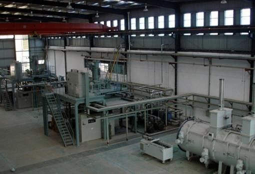 W020241119525551028219